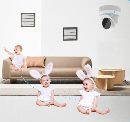 Smart PTZ Indoor Hemisphere Conch Camera